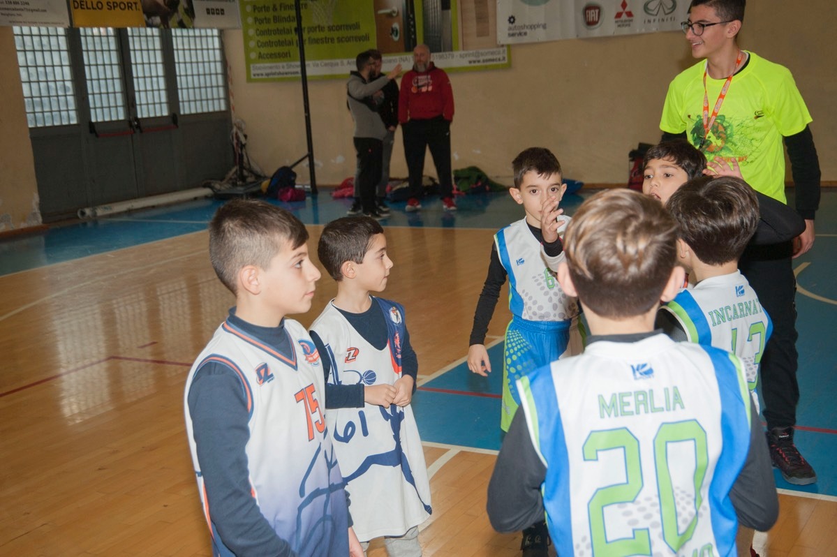 Edizione 2019 - master